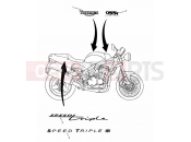 TRIUMPH SPEED TRIPLE 885cc\955cc (EFI) > 141871 Bodywork Decals 955cc Engine