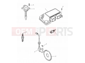 TRIUMPH SPEED TRIPLE 885cc\955cc (EFI) > 141871 Engine Management System