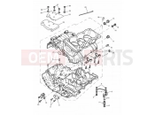 TRIUMPH SPEED TRIPLE 885cc\955cc (EFI) > 141871 Crankcase