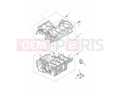 TRIUMPH SPEED FOUR Crankcases