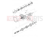 TRIUMPH TIGER EXPLORER XR 740277 > Transmission
