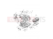 TRIUMPH THRUXTON Crankcase & Fittings