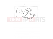 TRIUMPH THRUXTON R Engine Service Kit