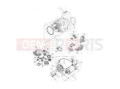 TRIUMPH SPRINT CARBS Alternator & Starter