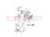 Triumph 1996 SPRINT CARBS Cooling System