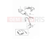 TRIUMPH SPRINT CARBS Ignition System