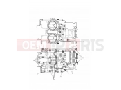 TRIUMPH THUNDERBIRD LT Crankcase Bolts