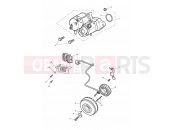 TRIUMPH THUNDERBIRD LT Starter & Alternator