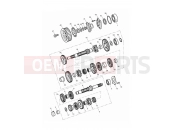 TRIUMPH THUNDERBIRD STORM Transmission