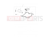 Triumph 2017 STREET SCRAMBLER Engine Service Kit