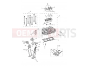 Triumph 2020 STREET SCRAMBLER Cylinder Head & Valves