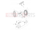 TRIUMPH TIGER 800 XRT 855532 > Starter & Alternator