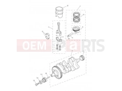TRIUMPH TIGER 900 Crankshaft,ConnectingRods Piston