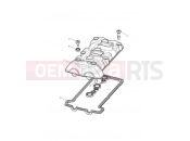 TRIUMPH TIGER 900 Cam Cover