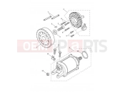 TRIUMPH TIGER 900 GT Starter & Alternator