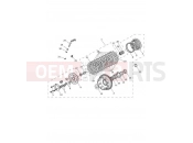 TRIUMPH TIGER 900 GT Clutch