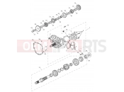Triumph 2021 TIGER 1200 XCX Transmission