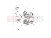 Triumph 2020 TIGER 1200 XRT Crankcase & Fittings