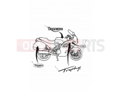 Triumph 2001 TROPHY 29156 > Bodywork - Decals