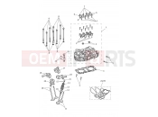 Triumph 2021 SPEED TWIN Cylinder Head & Valves