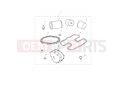 TRIUMPH SCRAMBLER EFI Service Kit Eng No 456551