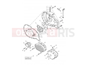 Engine Covers - Triumph AMERICA CARBS 2002