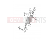 Cooling system - Triumph AMERICA CARBS 2002