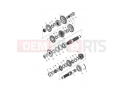TRIUMPH AMERICA EFI Transmission