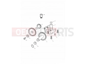 TRIUMPH TIGER 885i 71699 > 124105 Lubrication System