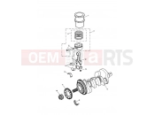 Crankshaft,ConnectingRods Piston - Triumph TIGER 955i 198875 > 2005