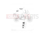 TRIUMPH TIGER 955i 198875 > Decals