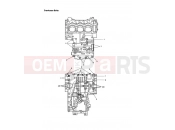 TRIUMPH TIGER 955i 198875 > Crankcase Bolts