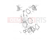 TRIUMPH Tiger 1050 Engine Covers