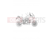 Triumph 2013 Tiger 1050 Decals