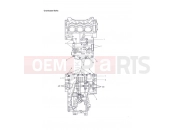 Triumph 2013 Tiger 1050 Crankcase Bolts