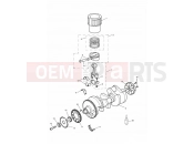 Triumph 2000 DAYTONA 595 / 955i Crankshaft,ConnectingRods Piston