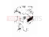 Triumph 2000 DAYTONA 595 / 955i Cooling System