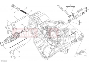 DUCATI Diavel 1260 SHIFT CAM - FORK