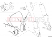 DUCATI Diavel 1260 FRONT BRAKE SYSTEM