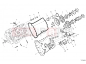DUCATI Panigale V4 S FRONT HEAD - TIMING SYSTEM
