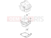 HUSABERG 2009 Offroad FE 450 (2375I3) [US] CYLINDER|Engine|30