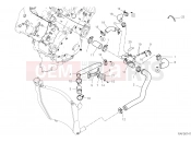 DUCATI Panigale V4 S COOLING CIRCUIT