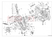 DUCATI Multistrada 950 HALF-CRANKCASES PAIR [MOD:MS950]
