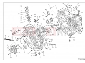 DUCATI Monster HALF-CRANKCASES PAIR [MOD:M937]