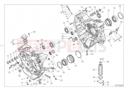 DUCATI Diavel 1260 HALF-CRANKCASES PAIR
