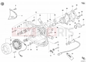 DUCATI Monster S4 Fogarty GENERATOR COVER - WATER PUMP » COOLING SYSTEM