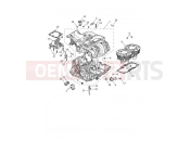 TRIUMPH Scrambler 1200 XE Crankcase & Fittings