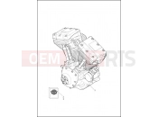Harley-Davidson 2015 TRIKE TRI GLIDE ULTRA CLASSIC  - FLHTCUTG ENGINE ASSEMBLY - TWIN CAM 103â¢