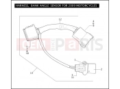 Harley-Davidson 2009 TOURING ULTRA CLASSIC  - FLHTCU HARNESS, BANK ANGLE SENSOR FOR 2009 MOTORCYCLES