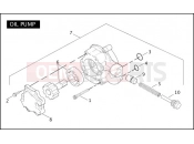 OIL PUMP - Harley-Davidson CVO V-ROD - VRSCSE2 2006